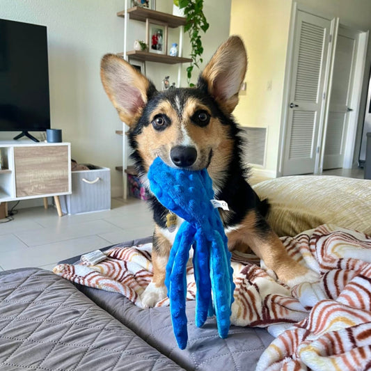 Jouet poulpe résistant à la mastication